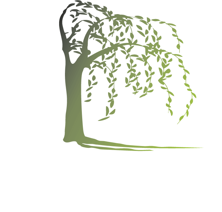 willow & co salon logo